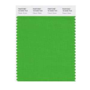   SMART 16 6340X Color Swatch Card, Classic Green: Home Improvement