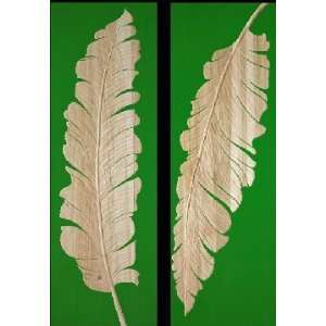  Forest Green Stained Tropical Leaf Wall Art Set
