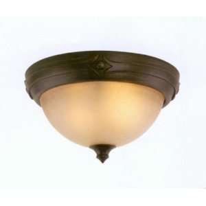  Bandera 11 Inch Aged Bronze Ceiling Lamp: Home Improvement