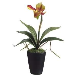   Yellow Ladys Slipper Silk Orchid Plants 13 Home & Kitchen