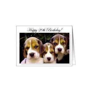  Happy 20th Birthday Beagle Puppies Card Toys & Games