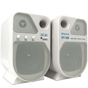  2 Piece Amplified Multimedia Speaker System: Electronics