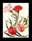 Antique hand embroidery silk thread flowers patterns CD