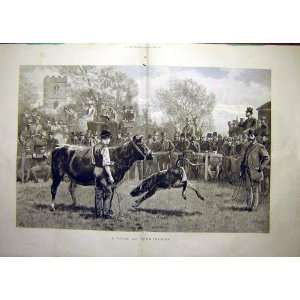  1889 Shorthorn Cattle Sale Cow Calf Auction Print