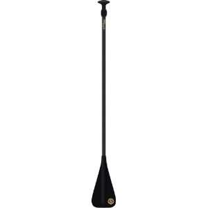  BIC Sport SUP 170 210 Carbon Paddle Board: Sports 