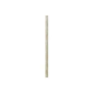  M2414 60   Thomas Lighting Extension Rod: Home Improvement