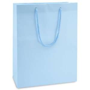  10 x 5 x 13 Debbie Light Blue Matte Laminate Bags Health 