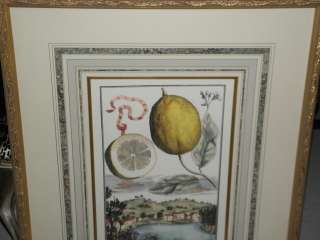 PAIR Superb Hand Colored Engraving Prints from Bellagio Hotel  