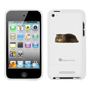  Persian Sitting on iPod Touch 4g Greatshield Case 