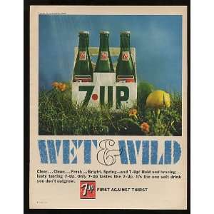   Up Soda 6 Pack Bottles Wet & Wild Spring Print Ad: Home & Kitchen
