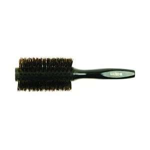  Luxor Boar Collection   Elegante Boar Brush / 2.5 (B73 