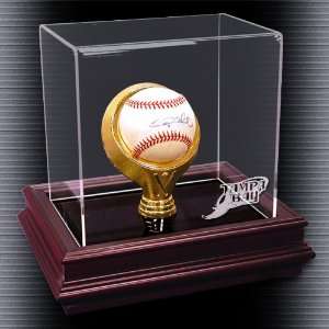  Tampa Bay Rays Boardroom Ball Case