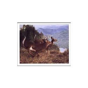  Running Deer Poster Print