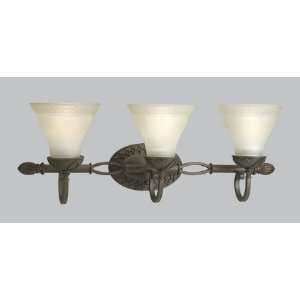  Sanabria Roasted Java Three Light Vanity Lamp: Home 