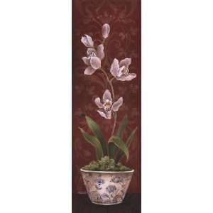    Organic Orchids I   Poster by Eugene Tava (12x36): Home & Kitchen