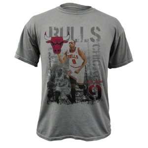 Luol Deng Chicago Bulls Titanium Caged Player Soft Hand Pigment Dyed 