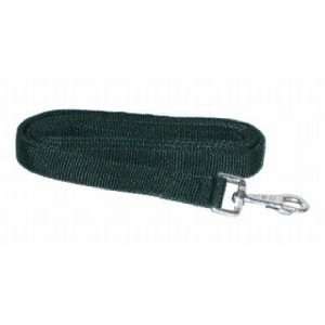  Nylon Lead With Snap Hntrgrn: Pet Supplies