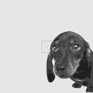  Emily Burrowes   Dachshund: Home & Kitchen