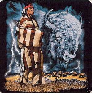 Buffalo Pride   Native American Indian T Shirt  