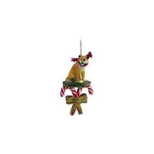  Lioness Candy Cane Christmas Ornament