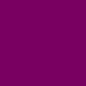  Canson Mi Teintes Tinted Paper burgundy 8.5 in. x 11 in 