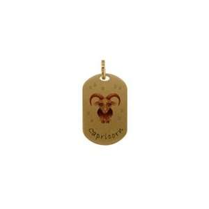 18Kt Yellow Gold Medal with Capricorn Zodiac Sign Charm (20mm X 13mm 
