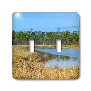 Florene Water Landscape   Calm Pond II   Light Switch Covers   double 
