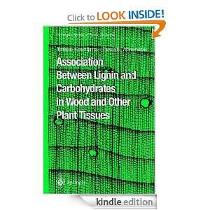 Association between Lignin and Carbohydrates in Wood (Springer Series 