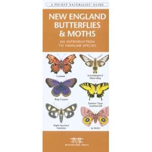    Waterford New England Butterflies & Moths: Patio, Lawn & Garden