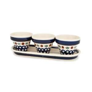  Polish Pottery Nature Flower Pots with Tray: Kitchen 