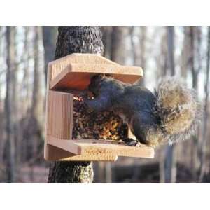   Choice Natural Cedar Squirrel Munch Box Feeder: Patio, Lawn & Garden