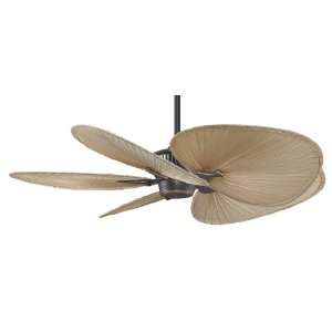   / Safari Five Bladed Indoor Ceiling Fan with Mult: Home Improvement