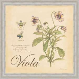  Viola Bumble Bee Beauty Wild Flower Sign Print Framed 
