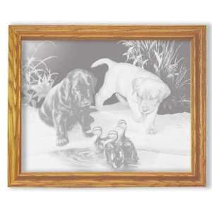   and Ducklings Etched Mirror in Oak Rectangle Frame