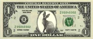 SPHYNX CAT Novelty U.S. Dollar Bill Bookmark  