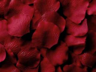 100 BURGUNDY Silk Rose Petals Wedding Flower Favors  