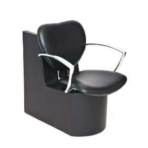  Chea Professional Dryer Chair: Beauty