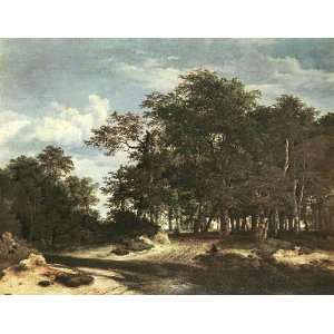    The Large Forest, by Ruysdael Jacob Isaackszon van