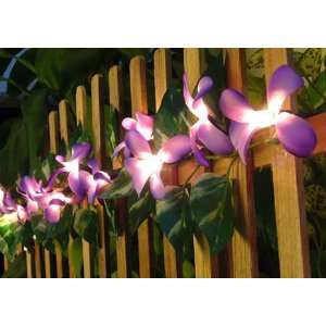   Frangipani Flower Party String Lights (20/set): Home Improvement