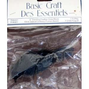    Basic Craft 4 Standing Feather Crow Black Arts, Crafts & Sewing