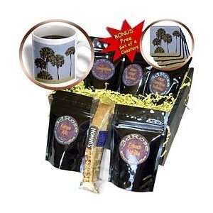 Florene Tropical Landscapes   Sabal Palms   Coffee Gift Baskets 