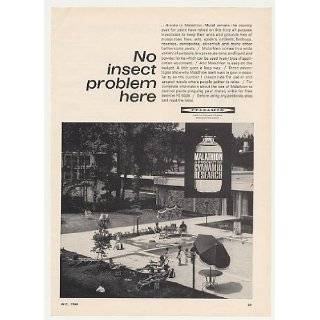 1968 Cyanamid Malathion Insecticide Motel Pool Photo Print Ad