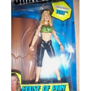  Tori Wrestling Figure Smack Down House of Pain Toys 
