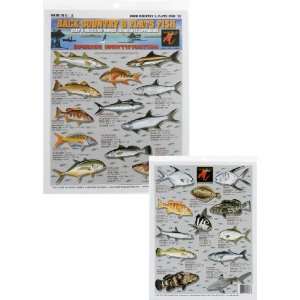 Tight Lines Back Country Flats Fish Chart #10:  Sports 