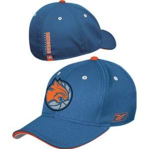  Charlotte Bobcats Official Team Flex Fit Hat: Sports 