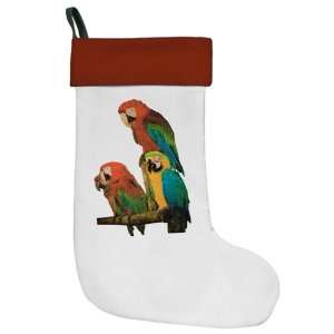  Christmas Stocking Family of Parrots 