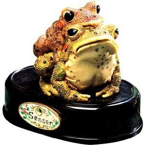  Froggy Frolic Motion Detector Sensor: Home & Kitchen