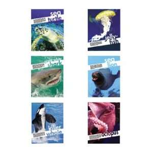  6 Sea Creatures Posters   Curriculum Projects & Activities 