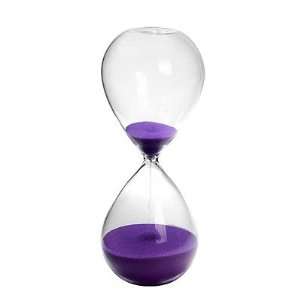  45 Min. Hourglass Sand Timer Orchid 10 inch Kitchen 