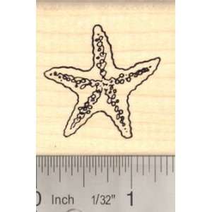  starfish Rubber Stamp, Sea Star Fish Arts, Crafts 